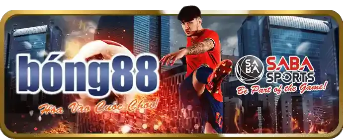 Cá cược trực tiếp qq66 app